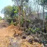  Land for sale in the Philippines, Bolinao, Pangasinan, Ilocos, Philippines