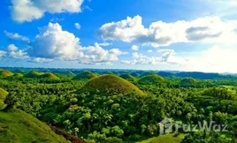 Properties for sale in in Bohol, Central Visayas