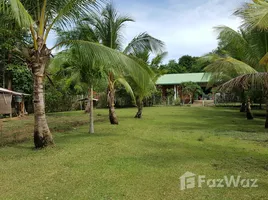  Land for sale in the Philippines, Aborlan, Palawan, Mimaropa, Philippines