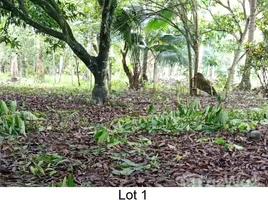  Land for sale in the Philippines, Island Garden Samal City, Davao del Norte, Davao, Philippines