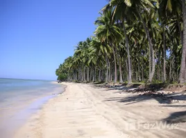  Land for sale in the Philippines, Quezon, Palawan, Mimaropa, Philippines