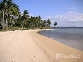  Land for sale in the Philippines, Quezon, Palawan, Mimaropa, Philippines