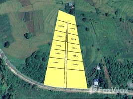  Land for sale in the Philippines, Bolinao, Pangasinan, Ilocos, Philippines