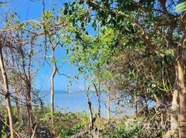  Land for sale in the Philippines, Bolinao, Pangasinan, Ilocos, Philippines